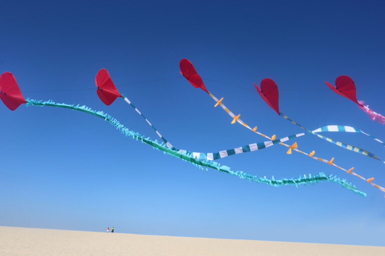 Festival degli Aquiloni