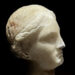 TESTA-DI-VENERE