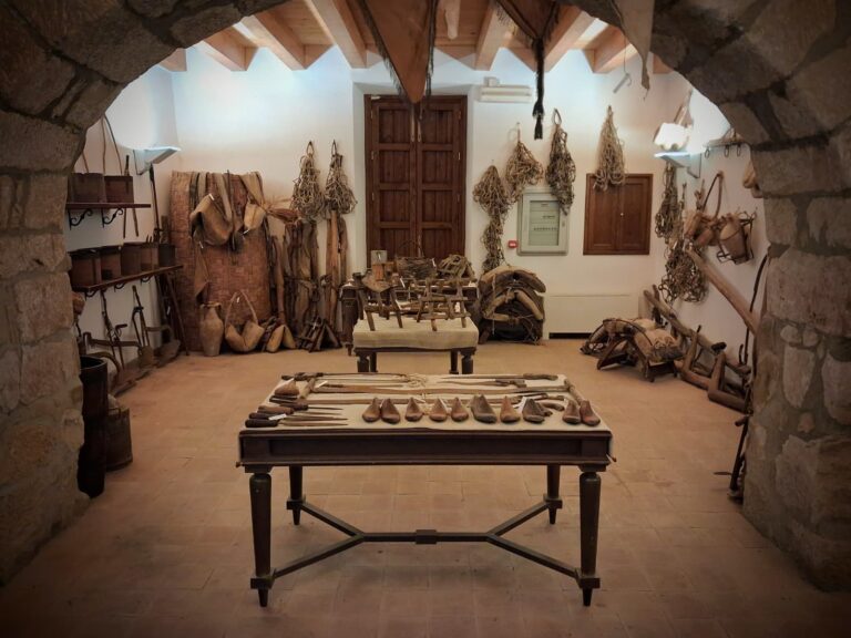 Il Museo Civico di Alia