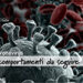 dieci_comportamenti_da_seguire_CORONAVIRUS