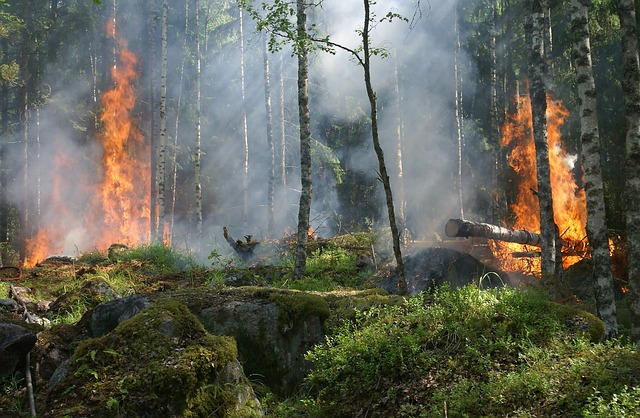 Incendi, ANCI Sicilia: “Per tutelare l’ambiente non basta fare direttive ma è necessario rafforzare la sinergia istituzionale ripensando a compiti e funzioni”