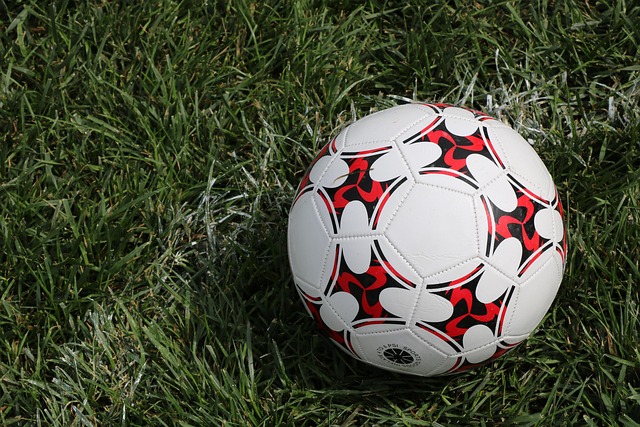 kerem_taser-football-8266065_640