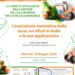 locandina-calendario-webinar-rifiuti