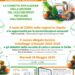webinar 26 maggio